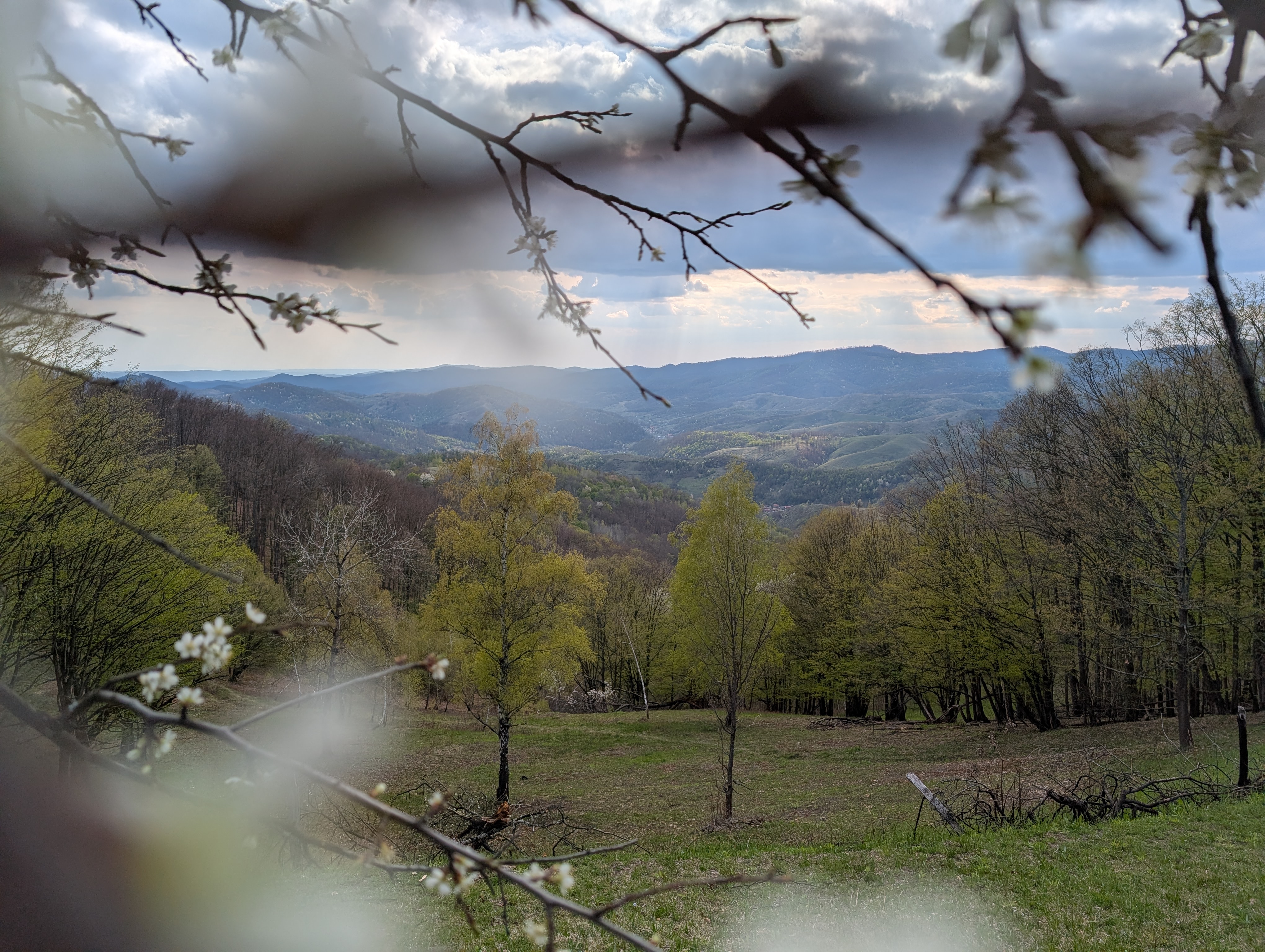 Traseul Păsărilor – Roșia Nouă
